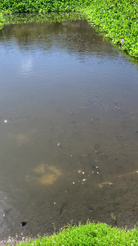 teaching a kid how to fish